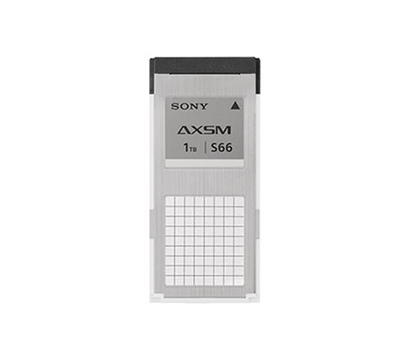 AXS-A1TS66