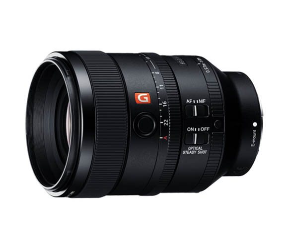 SEL100F28GM (STF)