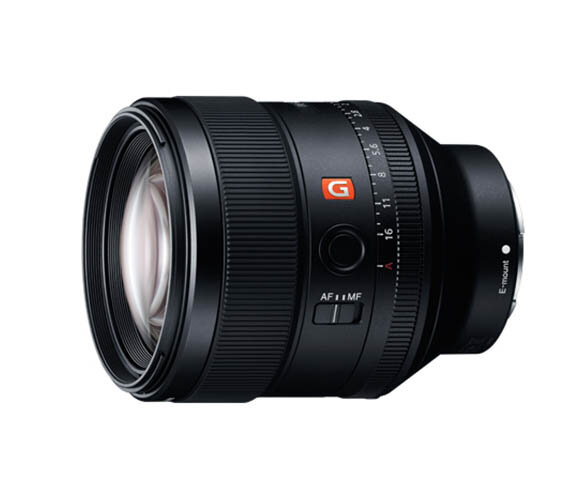 SEL85F14GM