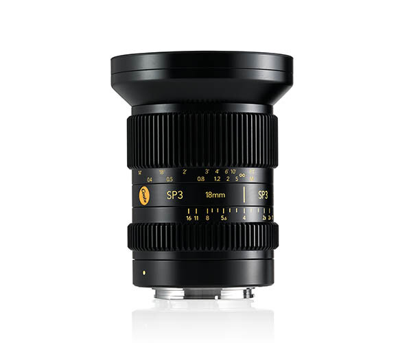 SP3 18mm