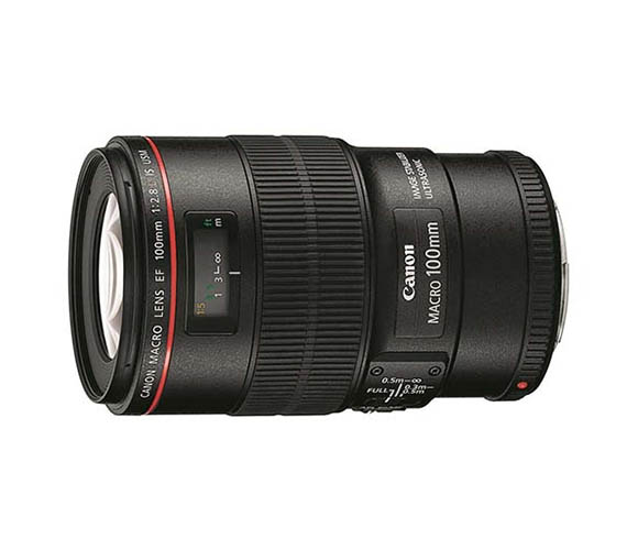 EF100mm F2.8L マクロ IS USM