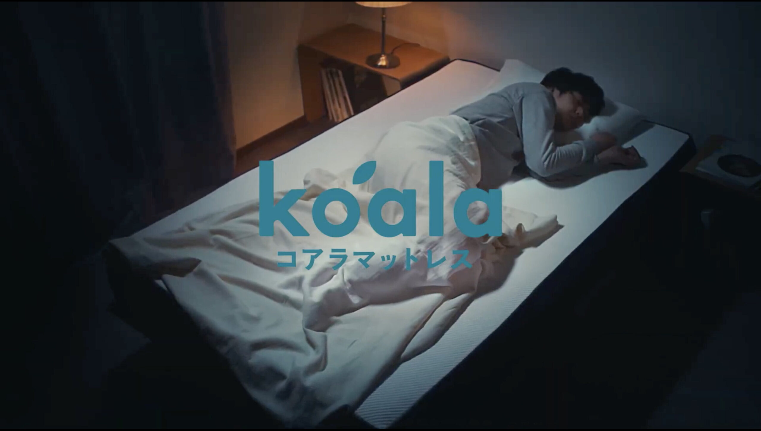 BOVA_koala_news.jpg
